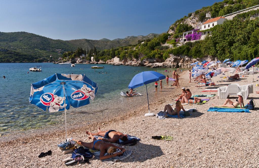 Villa Ana Zaton  Dış mekan fotoğraf